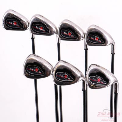 Callaway 2004 Big Bertha Iron Set 4-PW Callaway RCH 75i Graphite Senior Right Handed STD