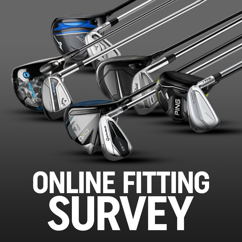 Online Fitting Survey